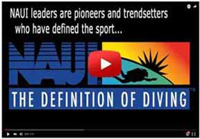 Watch a video about NAUI and The Definition of Diving